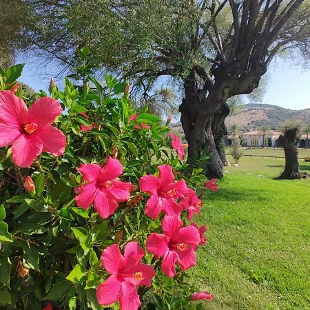Country house Tenuta Le Terre 1927