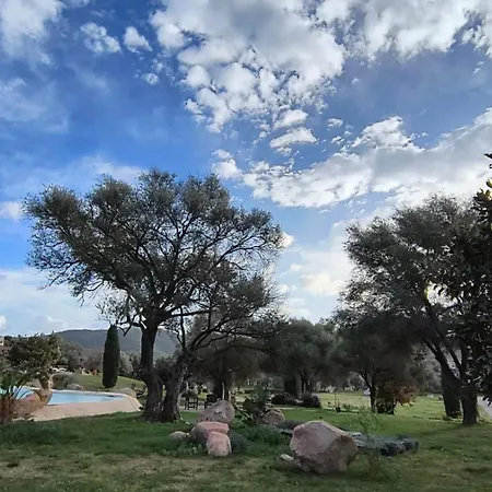 Tenuta Le Terre 1927 * San Teodoro (Sardinia)